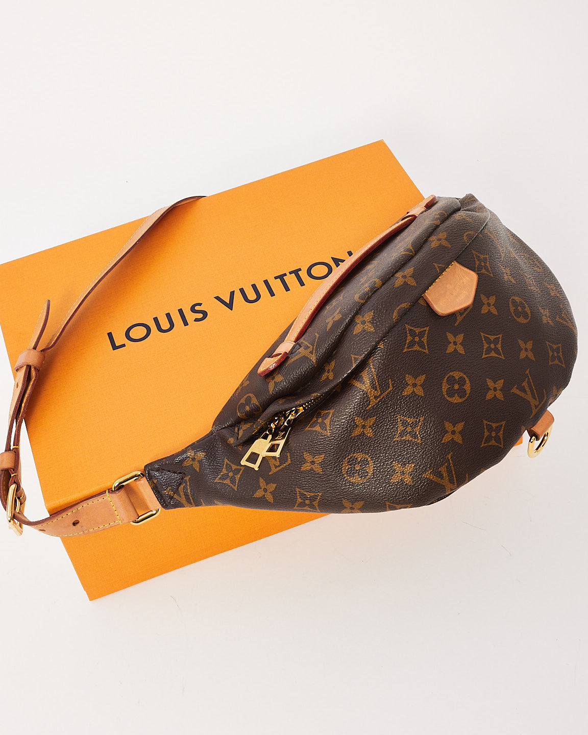 Louis Vuitton Monogram Bum Bag