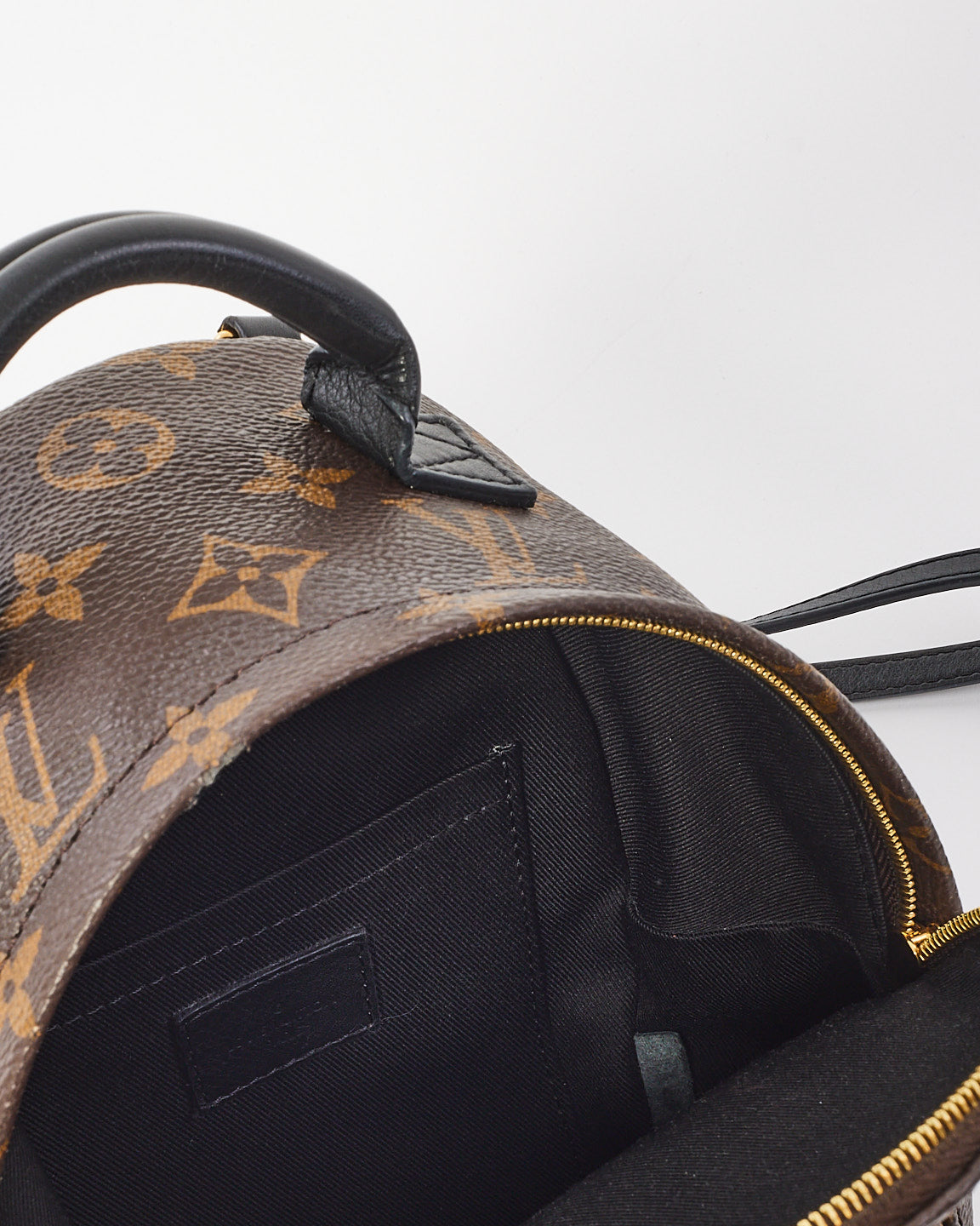 Louis Vuitton Monogram Palm Springs Mini Backpack