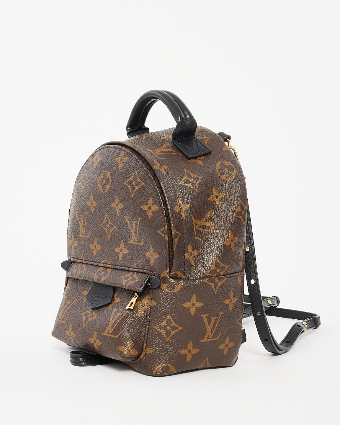 Louis Vuitton Monogram Palm Springs Mini Backpack