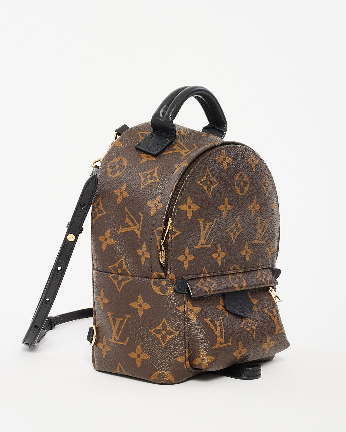 Louis Vuitton Monogram Palm Springs Mini Backpack