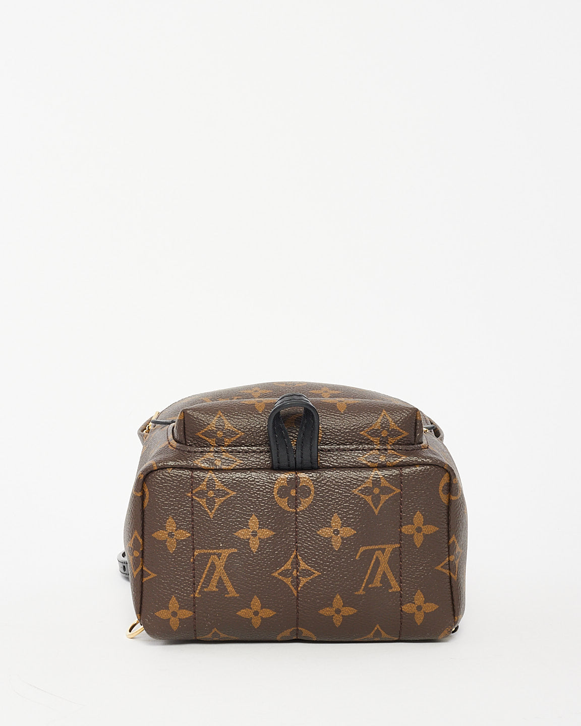 Louis Vuitton Monogram Palm Springs Mini Backpack