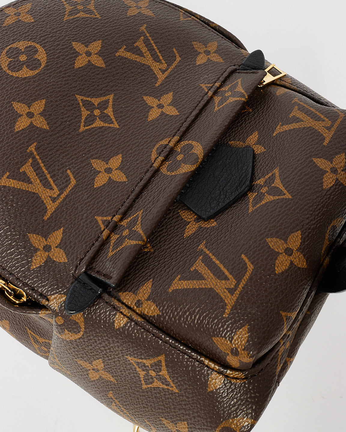 Louis Vuitton Monogram Palm Springs Mini Backpack