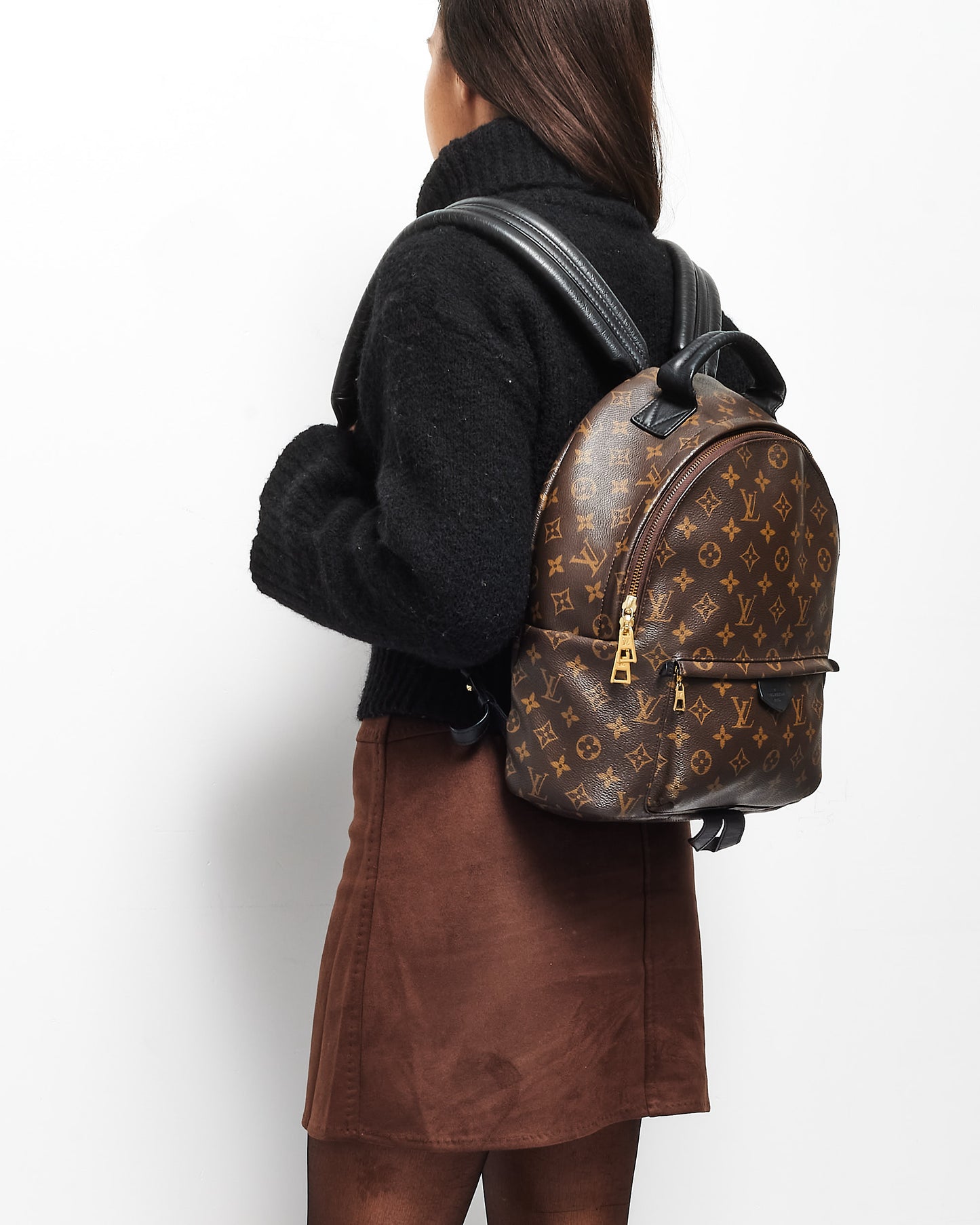 Louis Vuitton Monogram Canvas Palm Springs MM Backpack