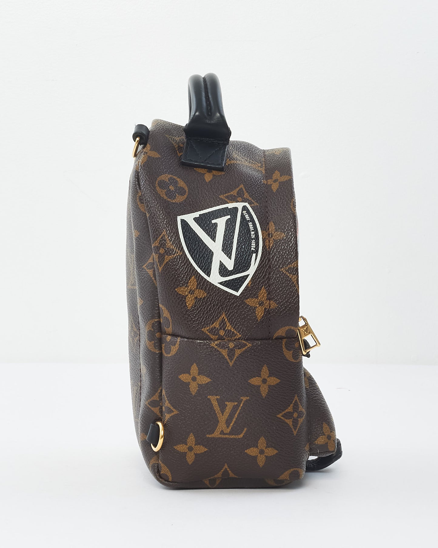 Louis Vuitton Monogram Canvas Limited Edition Worldwide Palm Springs Mini Backpack