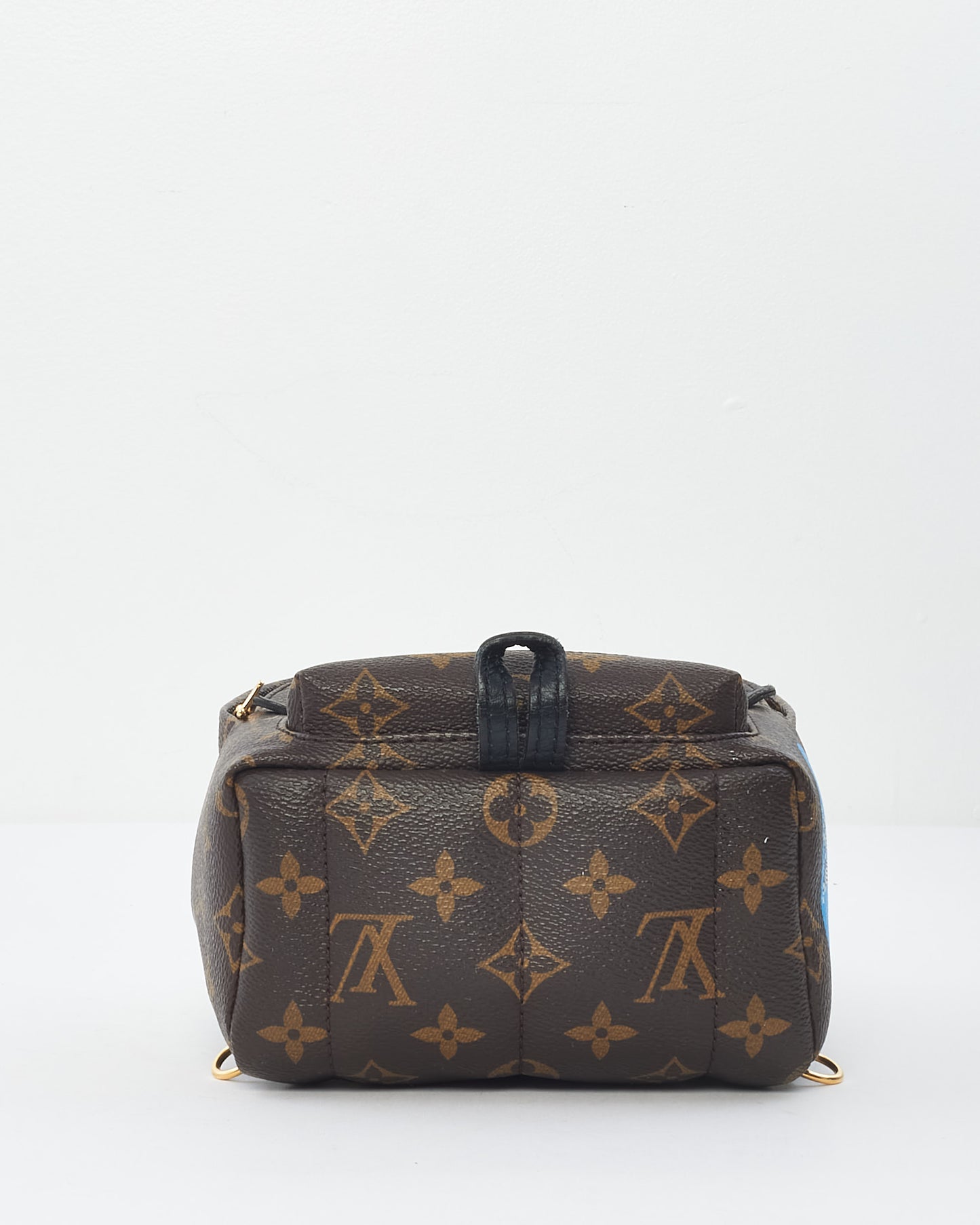 Louis Vuitton Monogram Canvas Limited Edition Worldwide Palm Springs Mini Backpack