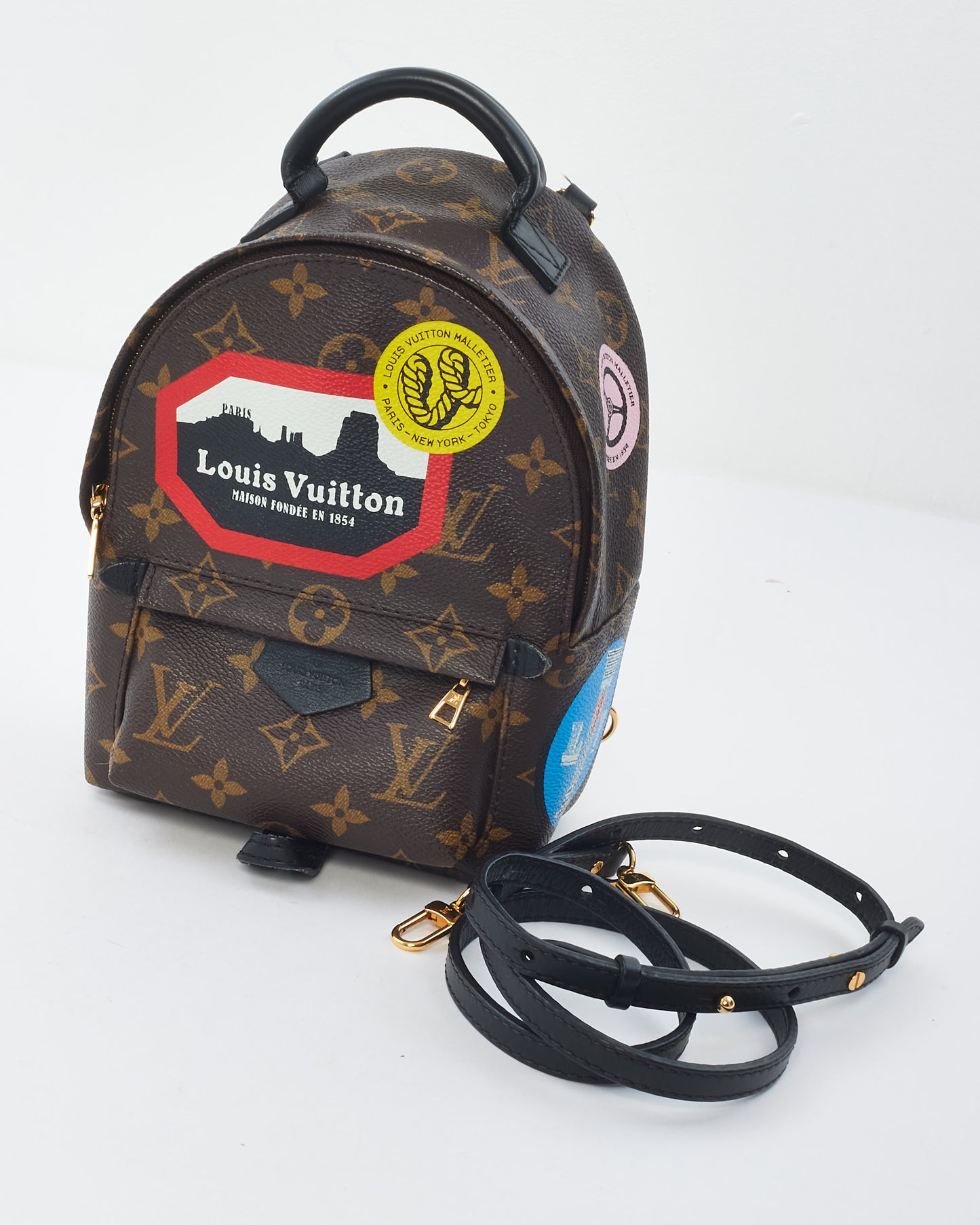 Louis Vuitton Monogram Canvas Limited Edition Worldwide Palm Springs Mini Backpack