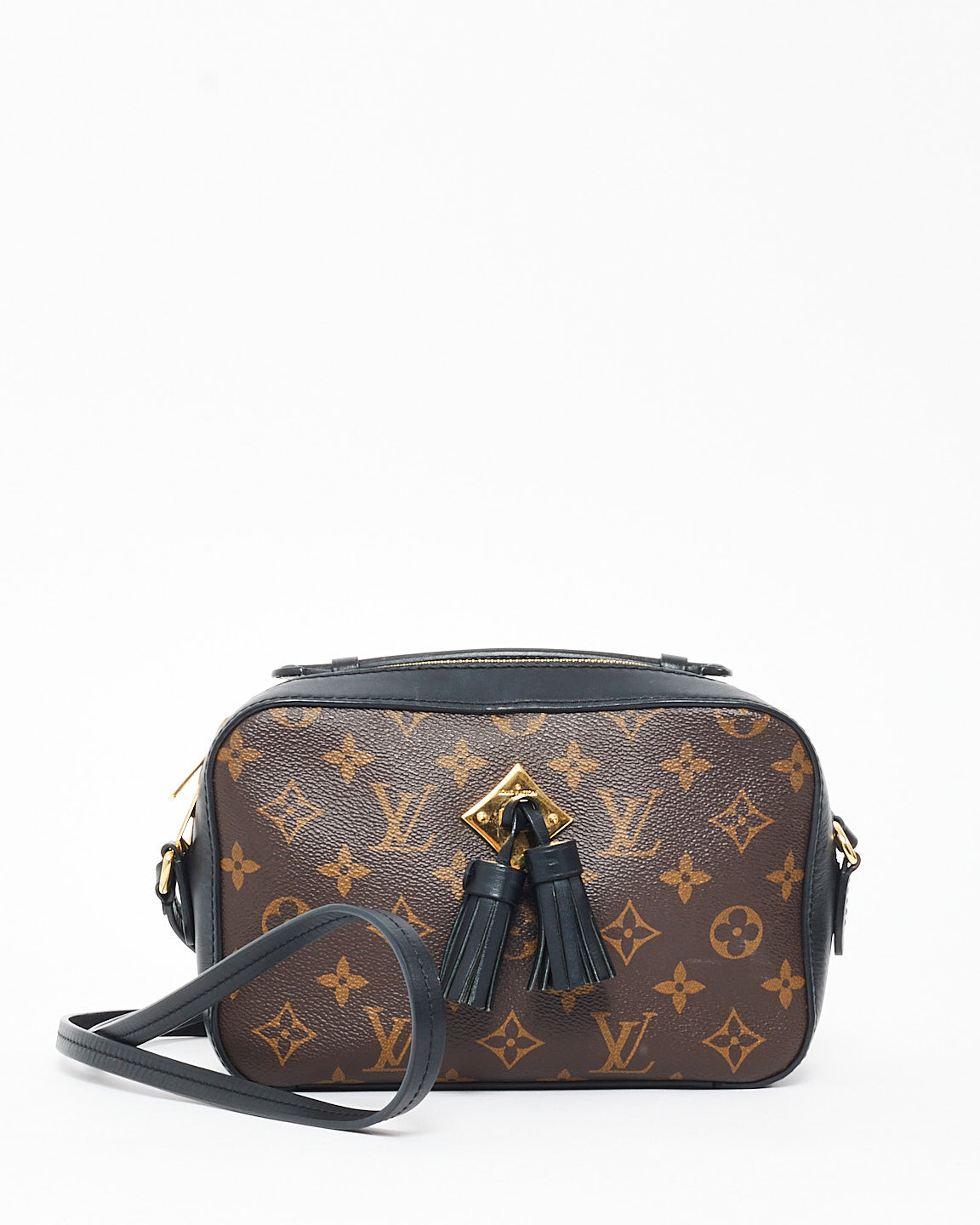 Louis Vuitton Monogram Coated Canvas 
Leather Saintonge Camera Bag