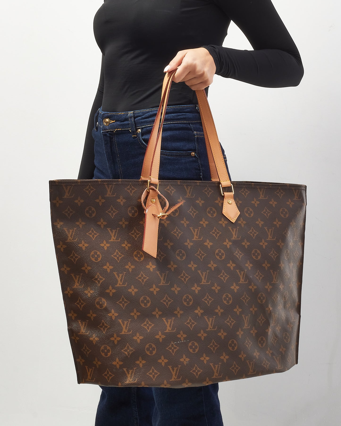 Louis Vuitton Monogram Canvas All-In MM Tote