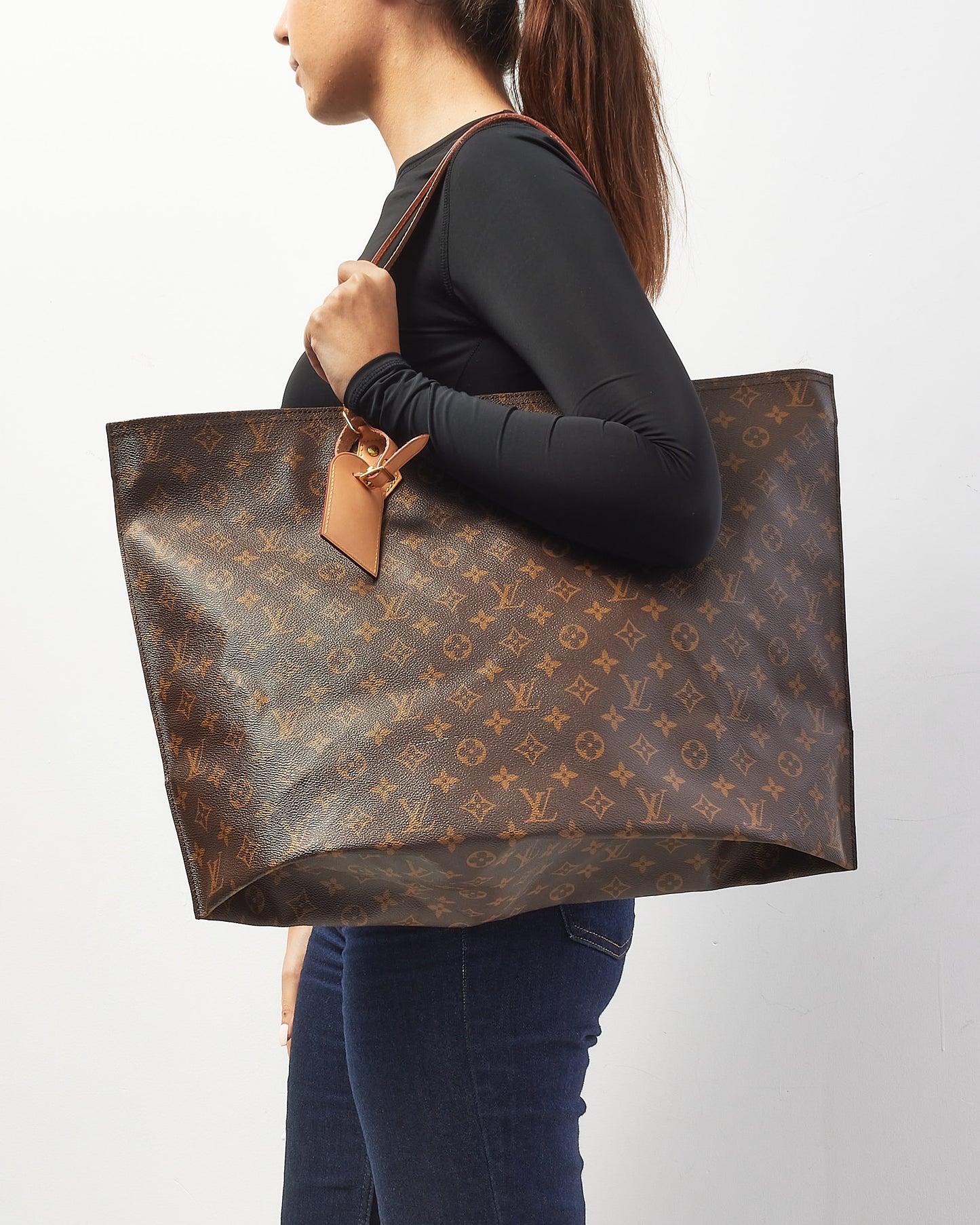 Louis Vuitton Monogram Canvas All-In MM Tote