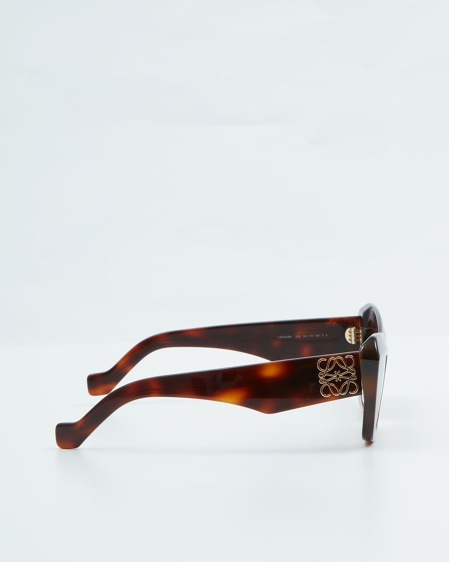 Loewe Brown Tortoise Cat Eye Tinted Sunglasses