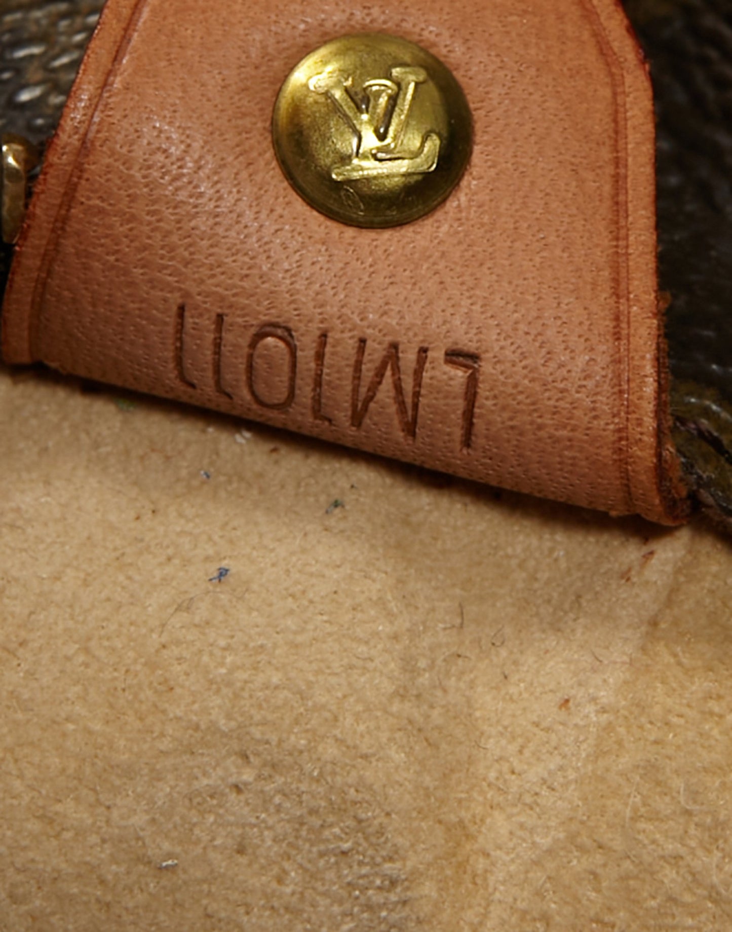 Louis Vuitton Monogram Sac Luco Tote